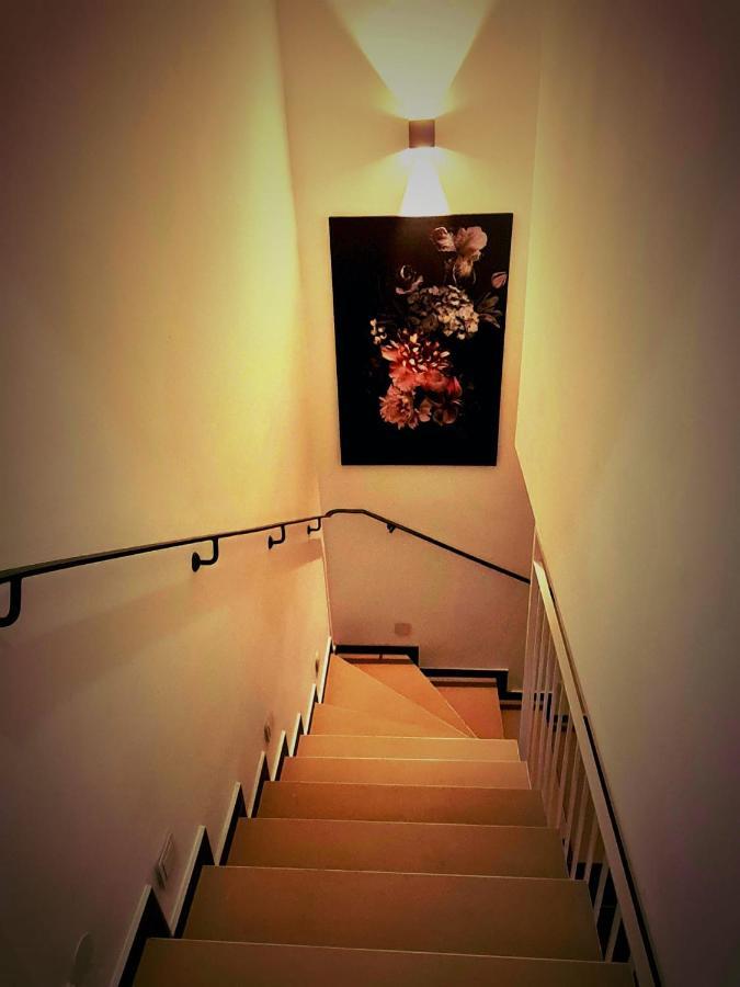 Roggendorf Zimmervermietung Köln Exteriör bild